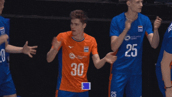 Team Applause GIF by Volleyball World