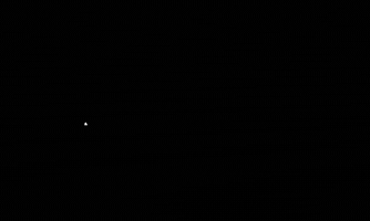 Unicorn company GIF