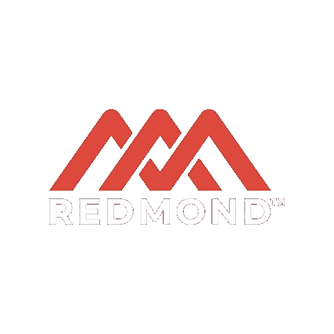 Realsalt Sticker by Redmond Life