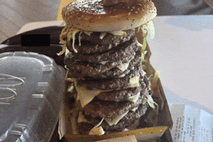 Bruger GIF