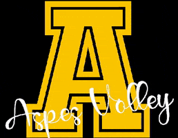 Aspes Volley Milano GIF