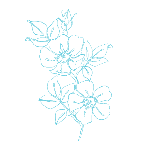 Minorquines Sticker
