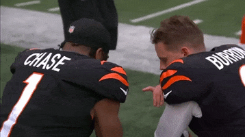 Football Nfl GIF by Bengals
