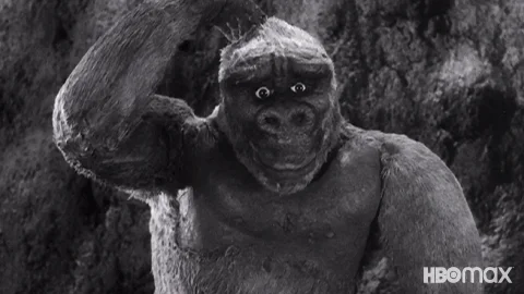 King Kong Idk GIF by HBO Max