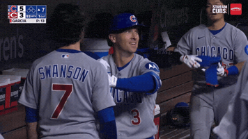 Chicago Cubs Baseball GIF