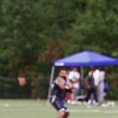 Moss GIF