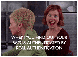 Sex And The City Coach GIF by Real Authentication