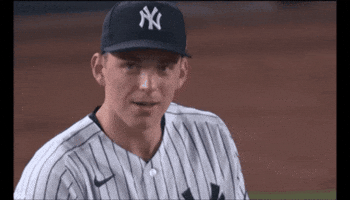 Yankees GIF