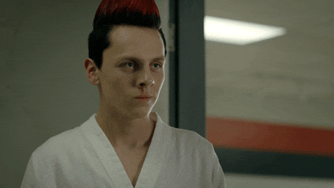 Cobra Kai Ok GIF by NETFLIX - Find & Share on GIPHY