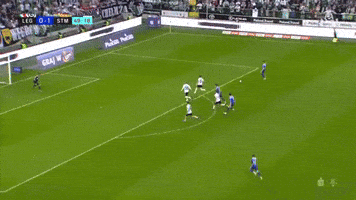 Mielec GIF