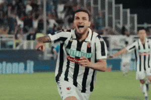 Football Celebrate GIF by Ascoli Calcio 1898