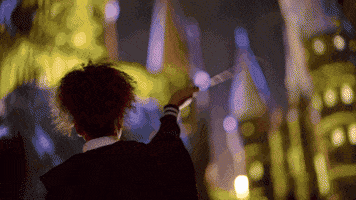 Harry Potter Magic GIF by Universal Destinations & Experiences