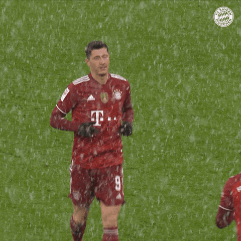 Robert Lewandowski Bundesliga GIF by FC Bayern Munich