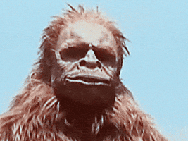 bigfoot the unforgettable encounter monster GIF
