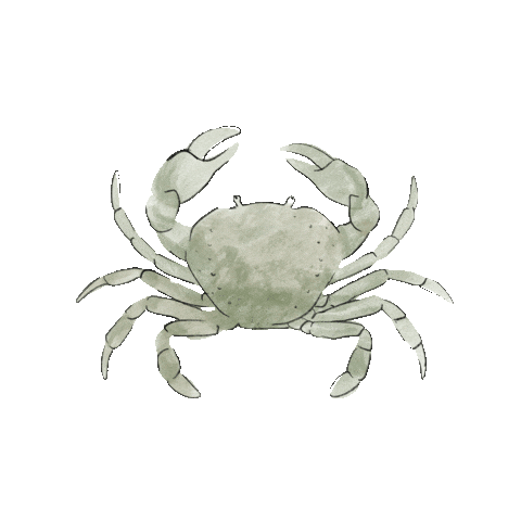 Sea Creature Vacation Sticker by Sugar Beach, A Viceroy Resort