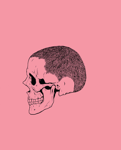 skull GIF