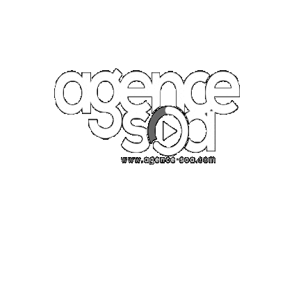 Dj Wedding Sticker by AGENCE SOA