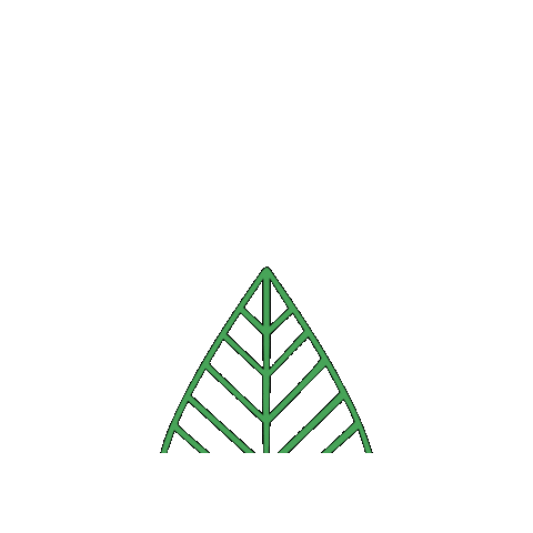 LiteFootCompany Sticker