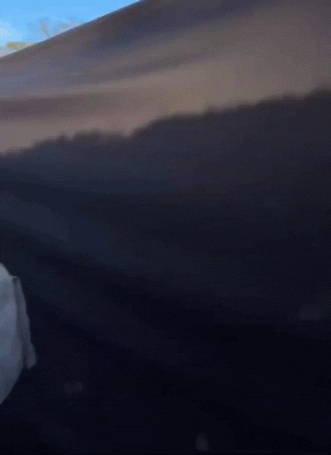 Caioluandudamatheus GIF