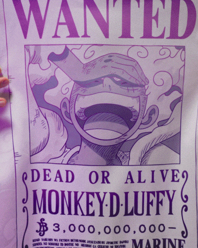 One Piece Skins GIF by Secretlab