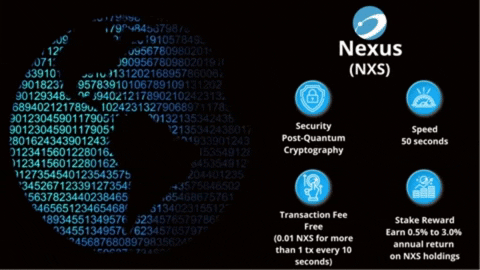 Nexu GIFs - Find & Share on GIPHY