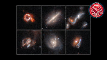 Deep Space Universe GIF by ESA/Hubble Space Telescope