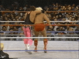  ric flair bret hart five moves of doom GIF