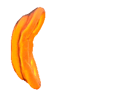 Suisse Jiu-Jitsu Sticker by Tiko Souza Bjj