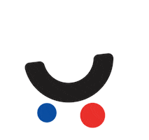 Pigu.lt Sticker