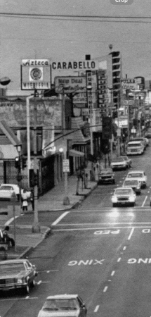 Elmatadorcarabello GIF