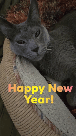 Happy New Year GIF