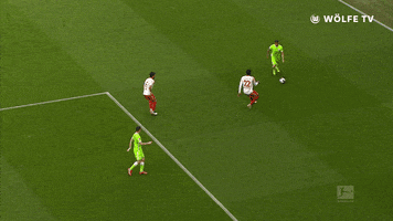 Football Sport GIF by VfL Wolfsburg