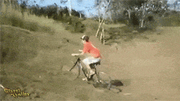 https://media0.giphy.com/media/Fwwgkl8UtbO9i/200.gif