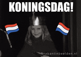 Dutch Flag Kings Day GIF by Brabant in Beelden