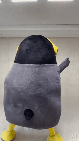 Animated GIF