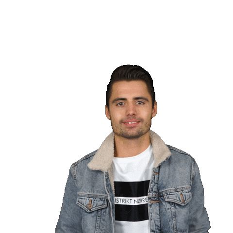 DJ  Dennis Beso Sticker