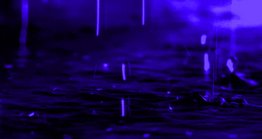 raining purple rain GIF
