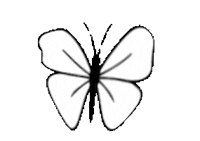 Butterfly Sticker