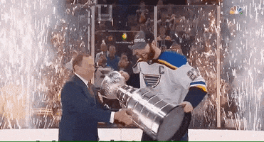 Stanley Cup Sport GIF by St. Louis Blues