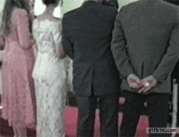 [Linked Image from media0.giphy.com]
