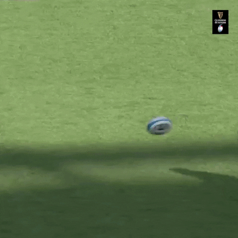 Awesome Wales Rugby GIF by Guinness Six Nations