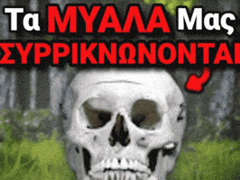 Our Brains Are Shrinking GIF