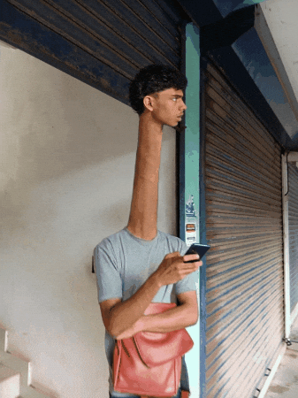 Giraffe Height GIF