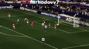 World Cup Argentina GIF