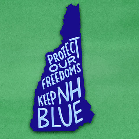 Digital art gif. Royal blue graphic of the state of New Hampshire on a grassy green background, glossy marker font within. Text, "Protect our freedoms, keep New Hampshire blue."