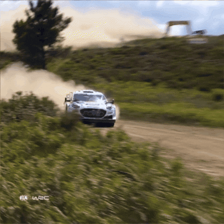 Rushing Ford GIF by FIA World Rally Championship