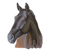 Equitana Sticker