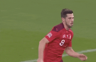 Nations League Sport GIF