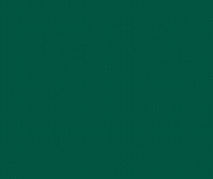 Uluergroup GIF by srilanka balloon