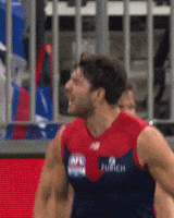 Celebrate Melbourne Football Club GIF by Melbournefc
